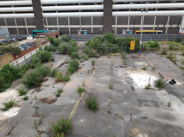 Council didnt want to pay to have this busy and probably profitable car park repaired subsidence So they boarded it up and now nature is reclaiming it