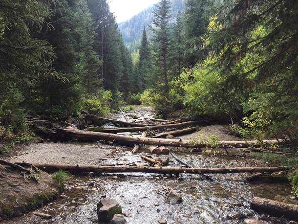 Crossing the creek on the way to Donut Falls in Big Cottonwood Canyon UT 