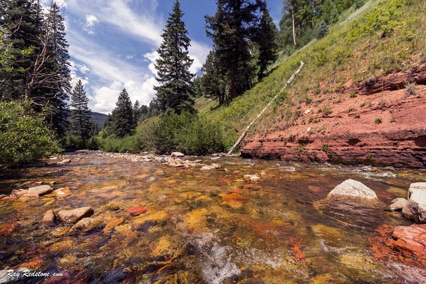 Crystal Clear amp Vibrant Colored Rocky Mountain Stream Near Rico Colorado 