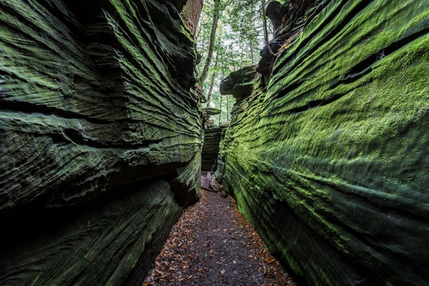 Cuyahoga Valley National Park - Ledges Trail 