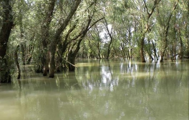 Danube Delta Romania 