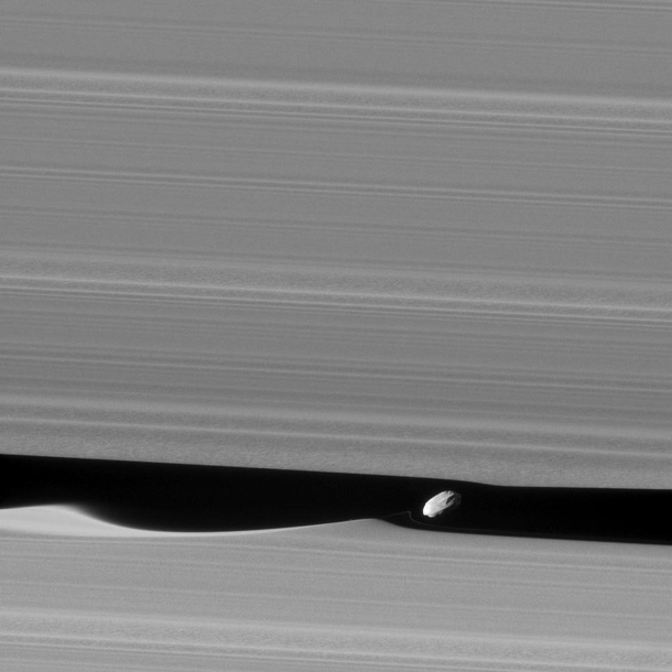 Daphnis Up Close The wavemaker moon Daphnis is featured in this view taken as NASAs Cassini spacecraft made one of its ring-grazing passes over the outer edges of Saturns rings on Jan   This is the closest view of the small moon obtained yet 