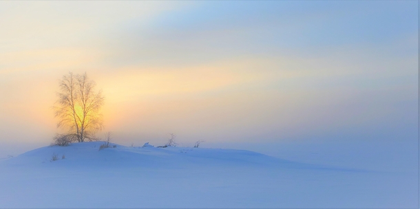 Dawn breaks through ice fog at -C Yellowknife NWT Canada x OC