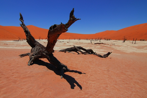 Deadvlei Namibia 