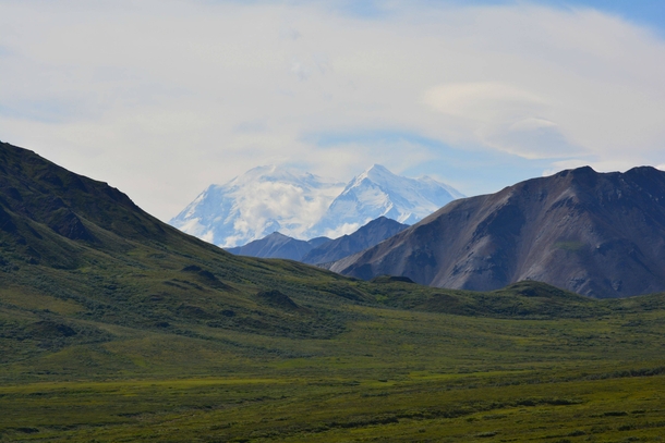 Denali National Park - Alaska 
