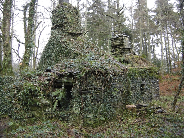 Derelict overgrown stone cottage Photo by Paul Hughes 