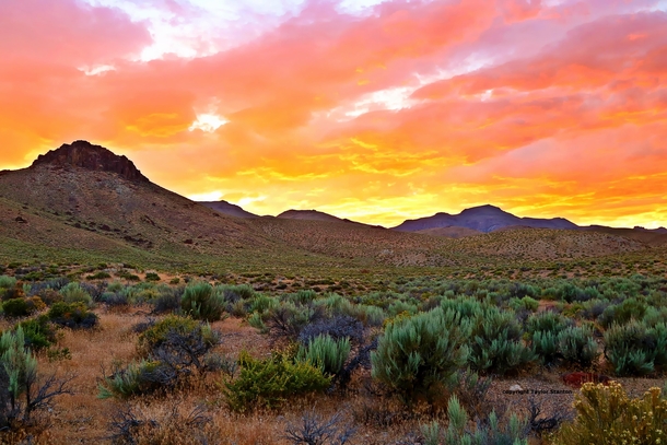 Deserts are pretty too Especially at sunset Especially in Nevada 