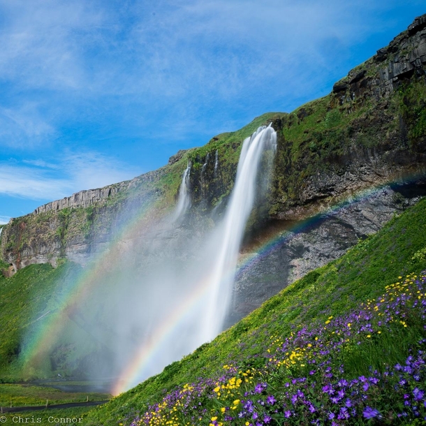 Did somebody say double rainbow Seljalandsfoss Iceland 