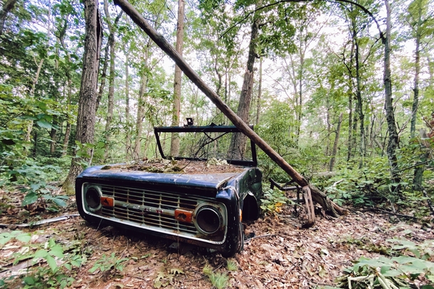 Do we like abandoned vehicles here Poverty Mountain Massachusetts