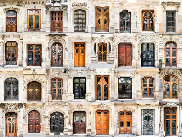 Doors of Barcelona by Andre Vicente Gonalves