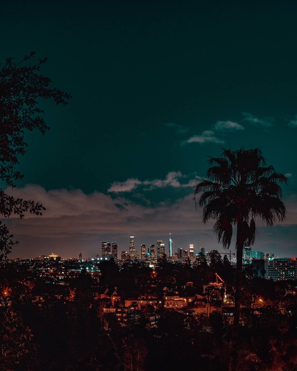 Downtown Los Angeles as seen from the Hollywood Hills 