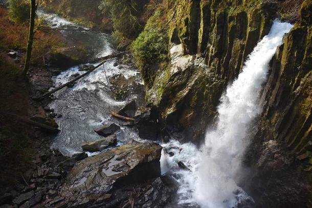 Drift Creek Falls Oregon x OC