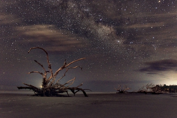 Driftwood and the Milky Way