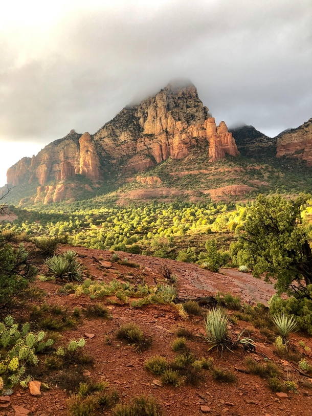 Drove  miles alone across the US and this is the view that sticks with me Golden hour in Sedona Arizona 