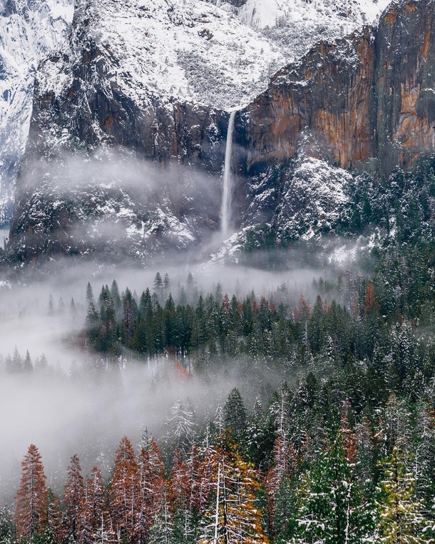 Early morning fog over Yosemite Valley Yosemite National Park CA  Instagram worldpins