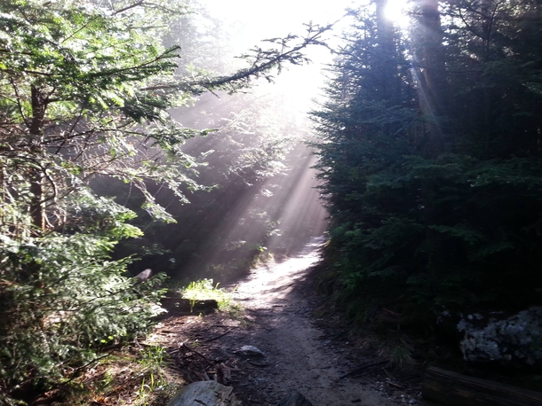 Early morning on the Appalachian Trail 