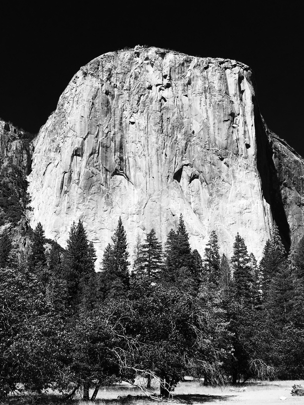 El Capitan Yosemite NP 