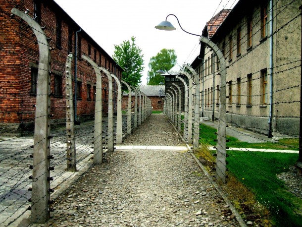 Electric Fences Auschwitz Poland 