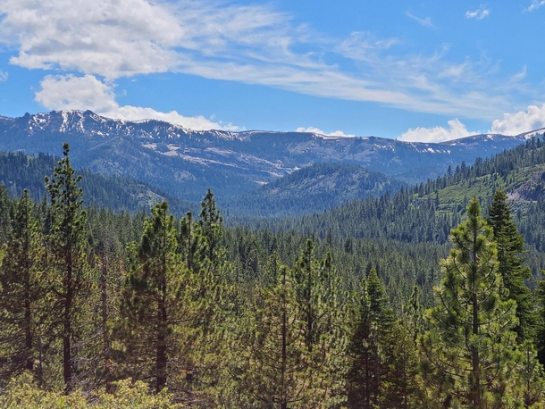 Emigrant Canyon from Jackass Point Truckee CA 