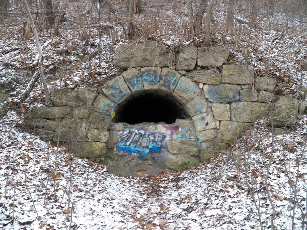 Entrance to an abandoned limestone mining tunnel from the late s Barn Bluff Red Wing MN 