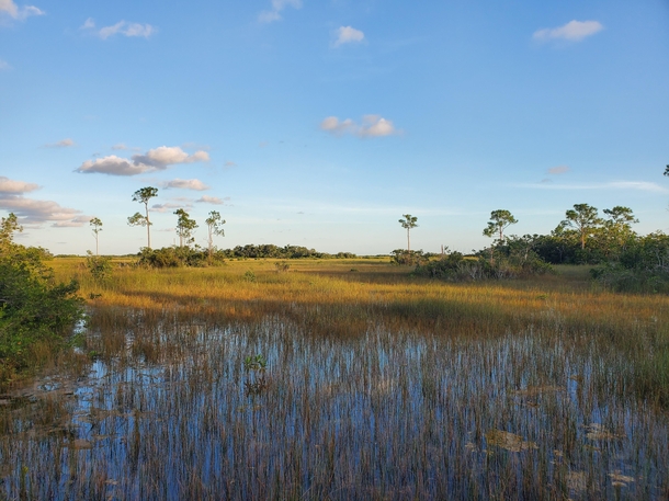 Everglades FL 