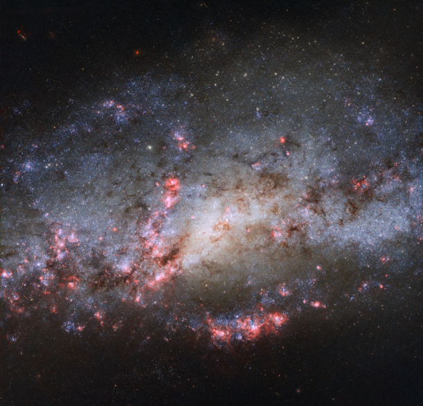 Extreme detail of a starburst region in spiral galaxy NGC  Intense tidal forces from interacting with its neighbor NGC  have caused bursts of star formation Located the constellation Canes Venatici at a distance of  million light-years from Earth image cr