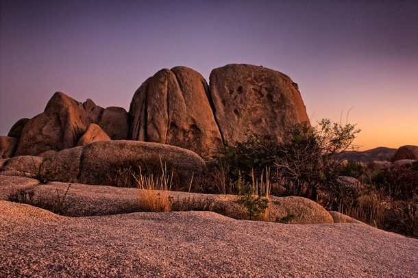 Fading light at White Tank Campground Joshua Tree National Park 