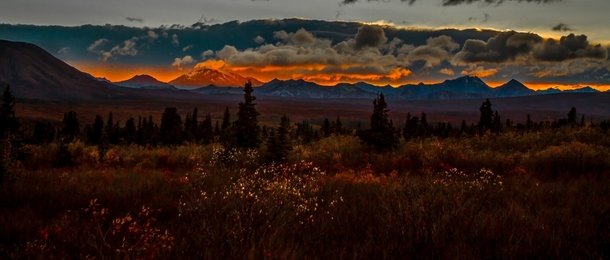 Fading light - Denali National Park Alaska 