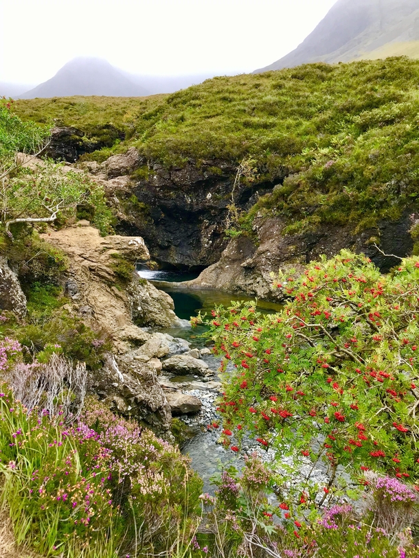 Fairy pools  Isle of Skye Scotland Summer x 
