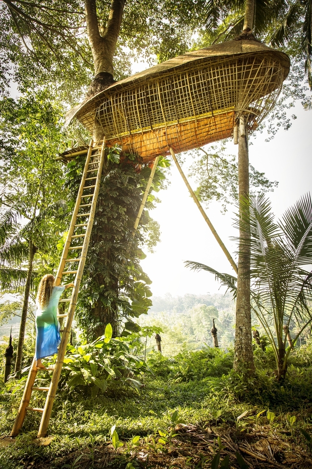 Fairytalelike Treehouse in Ubud 