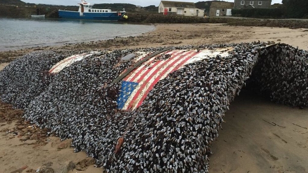 Falcon  rocket is found in the UK shores 