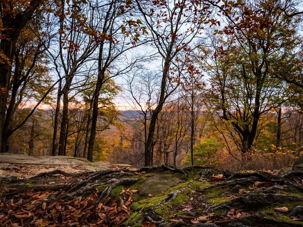 Fall at Whipps Ledges in Hinckley Ohio 