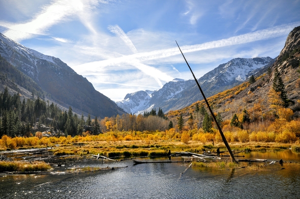 Fall color in Californias Eastern Sierra mountains 