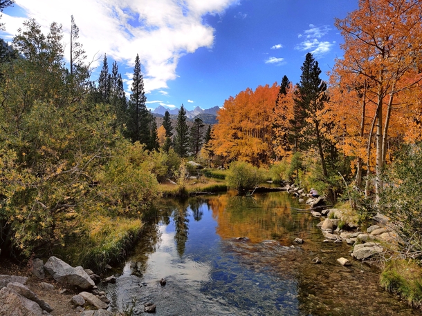 Fall colors in Bishop Creek Canyon California 