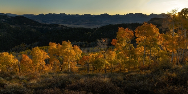 Fall colors on Ute Pass CO  x