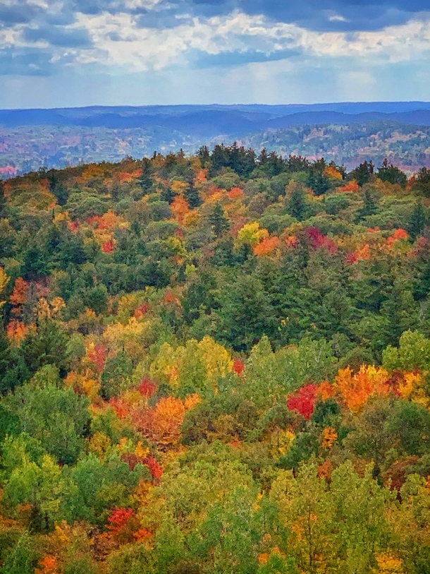 Fall colours in the Lanark Highlands Ontario Canada  OC