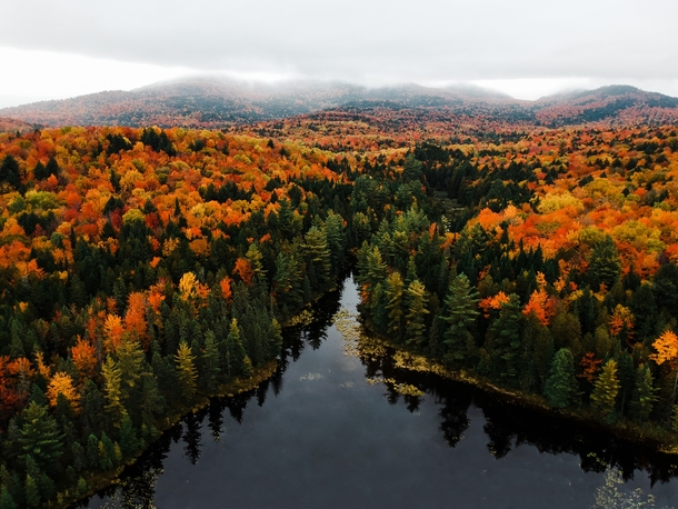 Fall foliage in the Adirondack Mountains  Andrew Tyler - ajtyler 