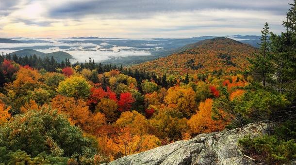 Fall Foliage on Mount Morgan today in New Hampshire 