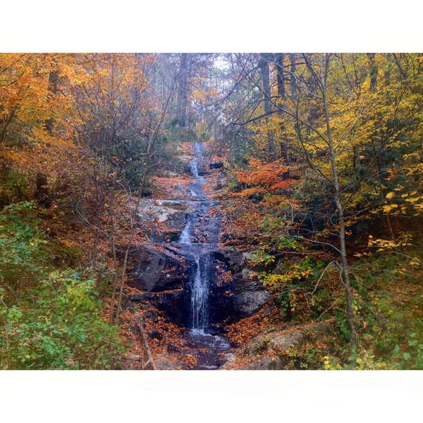 Fall in Big Ivy Western North Carolina 