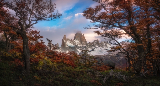 Fall in Patagonia Cerro Fitz Roy Argentina 