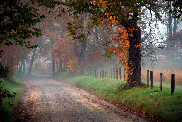 Fall on the Country Road - Location Unknown 