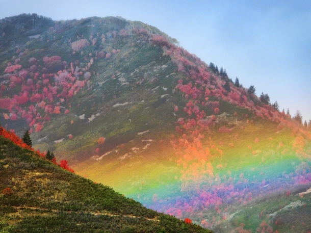 Fattest rainbow Ive ever seen above the newly changing Utah leaves 