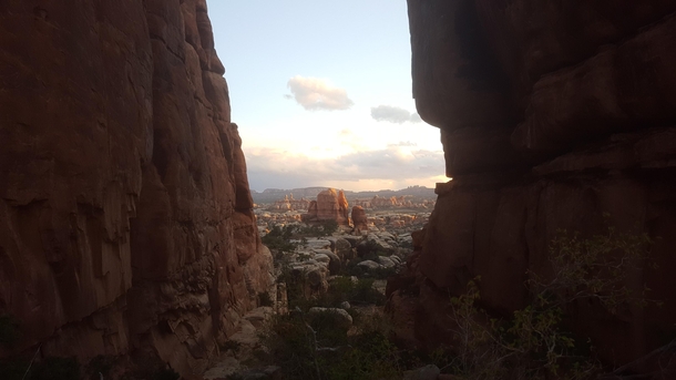 Favorite shot from a recent backpacking trip to Jurassic ParkI mean Utah The Needles Canyonlands National Park Moab Utah 