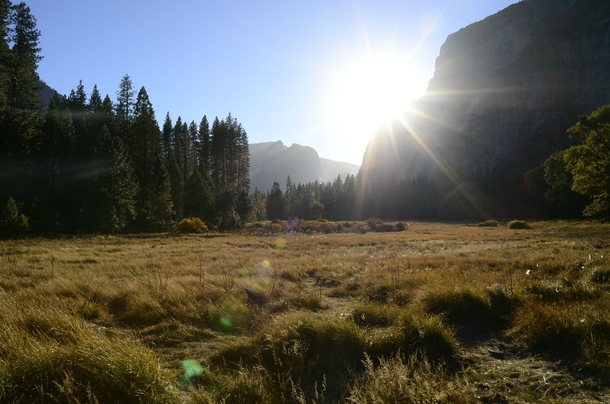 Feeling those post holiday blues so heres a Yosemite National Park Meadow from last month 
