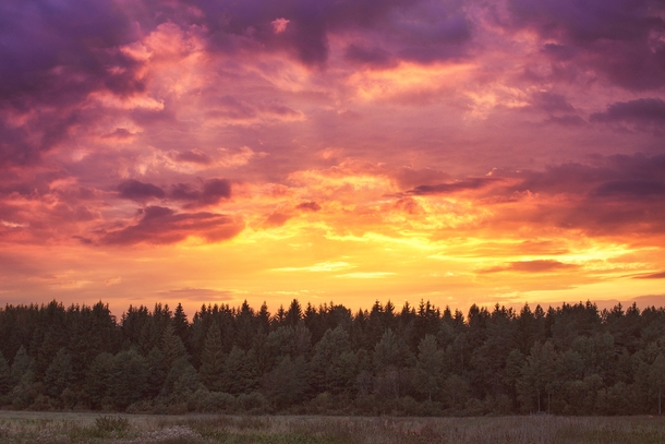 Fiery sunset over forest Dzerzhinsk Belarus 