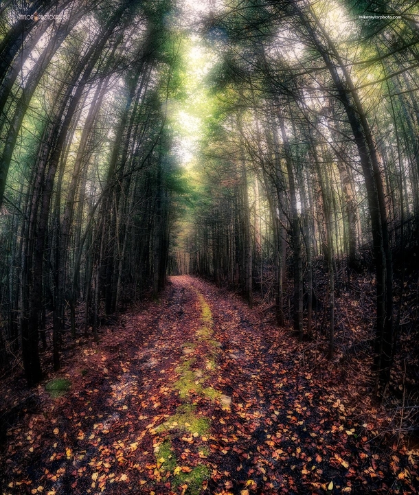 Find Your Own Path - Pittsburg New Hampshire USA 