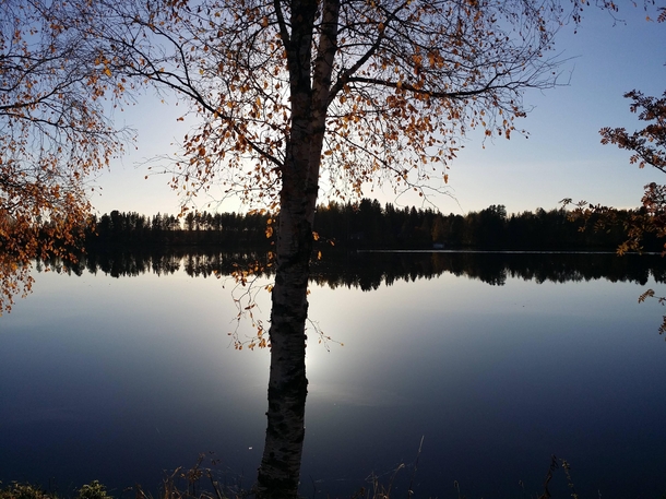 Finnish river on an Autumn evening OC x