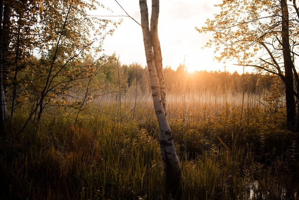 Finnish summer by Aaro Keipi 