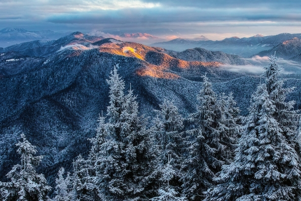 First rays - a coat of winter snow over the forests of Slovakia  by Lubos Kovac