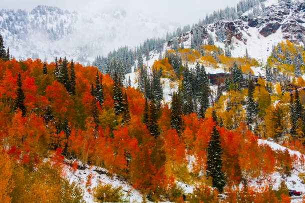 First snow hit Little Cottonwood Canyon in Salt Lake City  